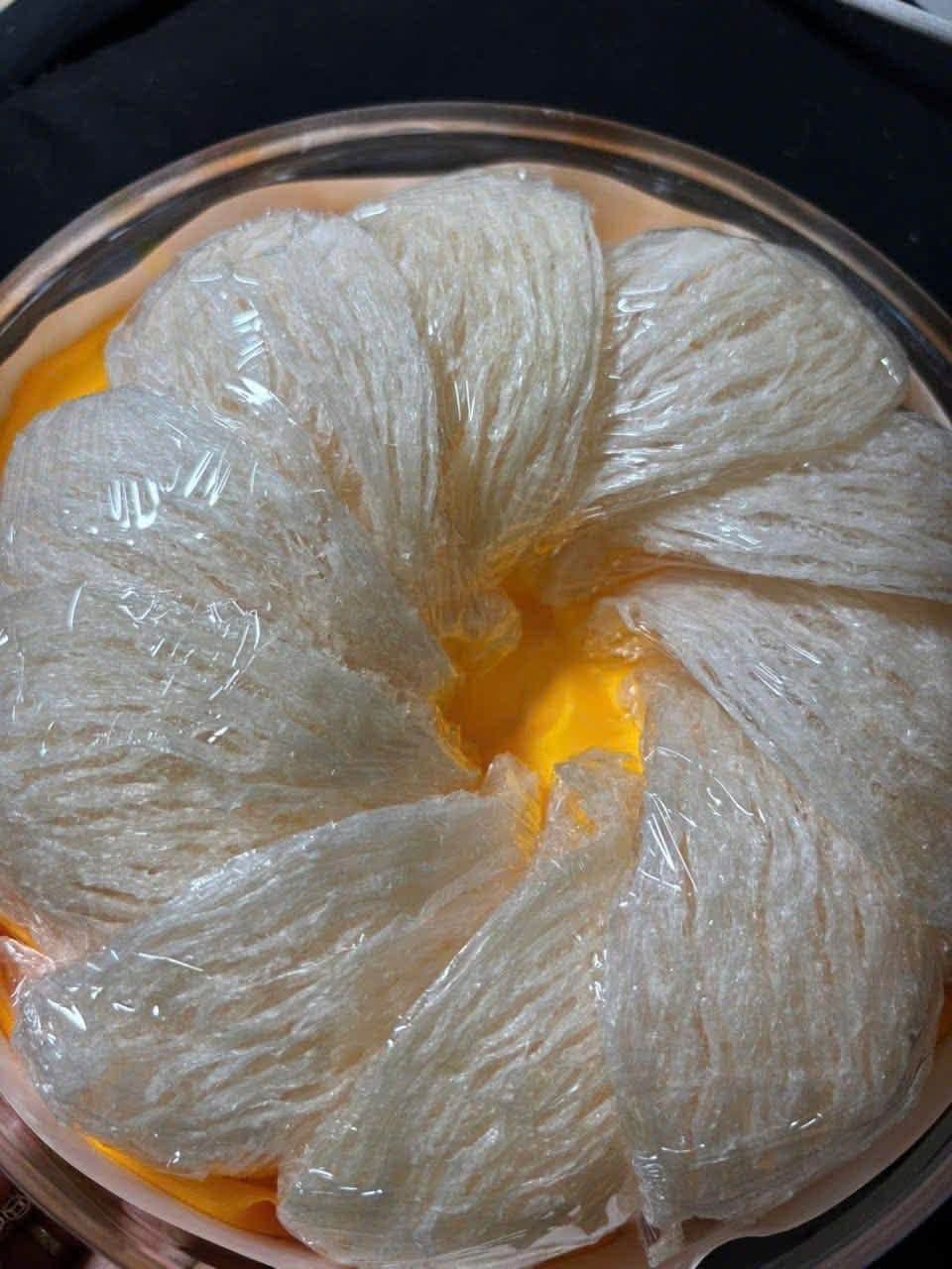 Tổ yến